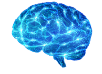 cerebro